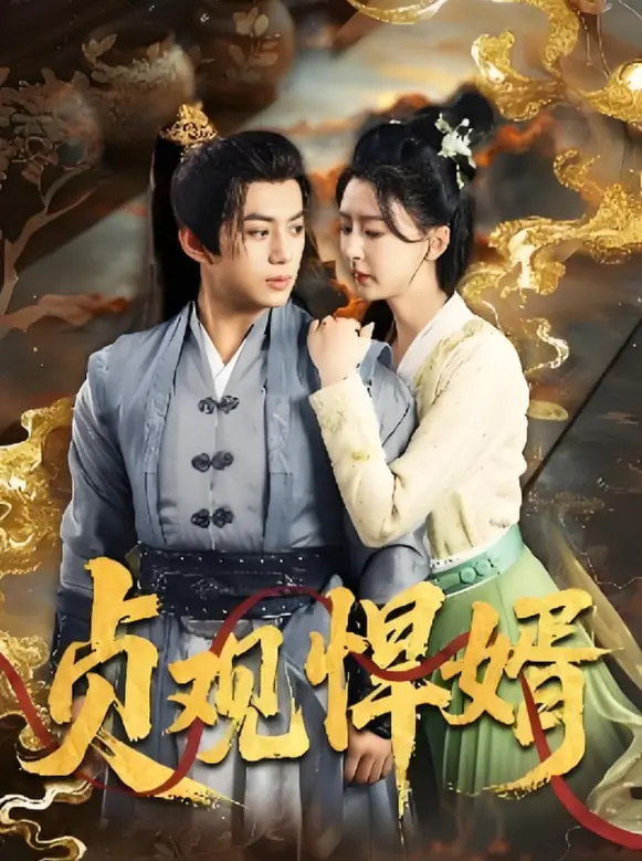 《贞观悍婿》：穿越唐朝当赘婿，智斗权臣，泡公主，看现代小伙如何玩转贞观王朝！